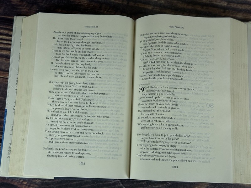 The Message: The Bible in Contemporary Language - Hardcover - GOOD gallery