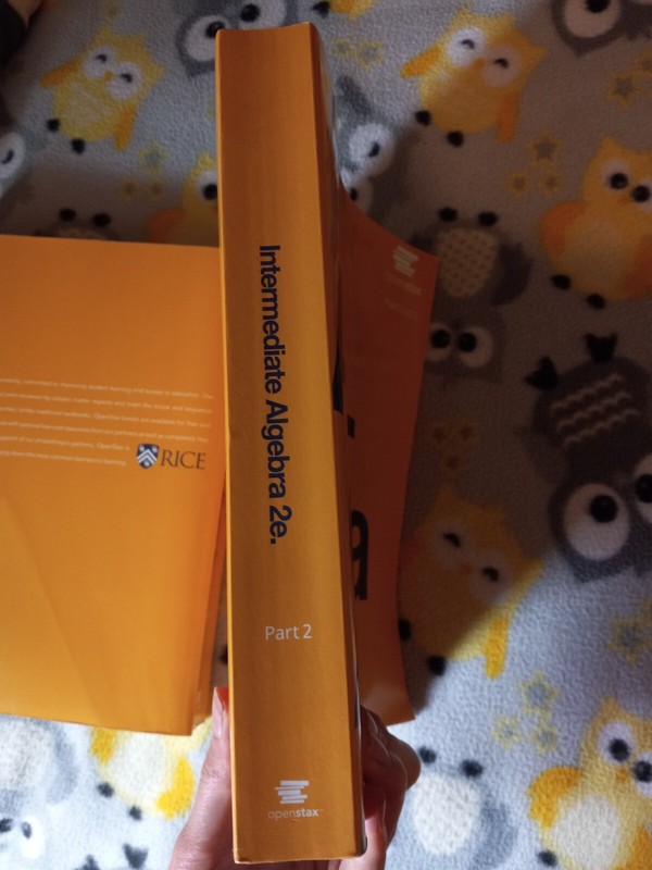 College Intermediate Algebra textbooks second edition two parts gallery