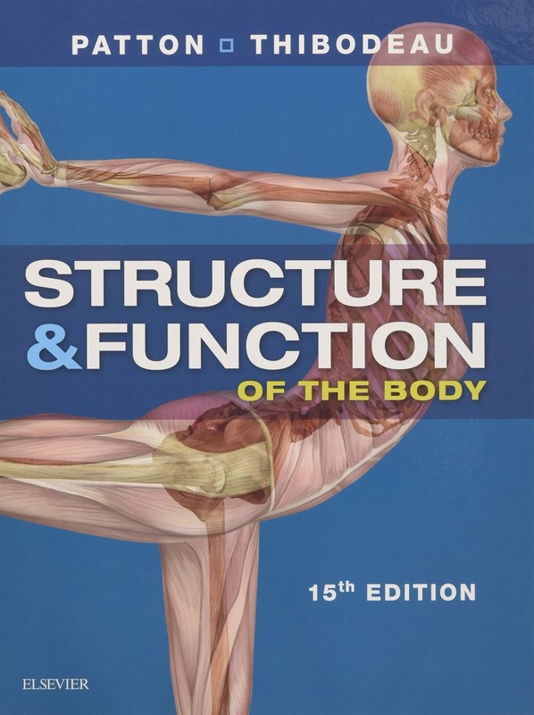 Structure and Function of the Body – Paperback by Gary A. Thibodeau and Kevin T.