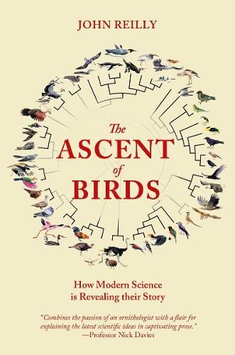 John Reilly The Ascent of Birds (Paperback) Pelagic Monographs (UK IMPORT)