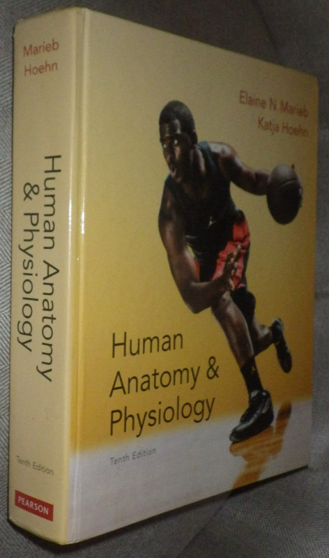 Human Anatomy and Physiology 10th edition HC by Elaine N. Marieb and Katja Hoehn