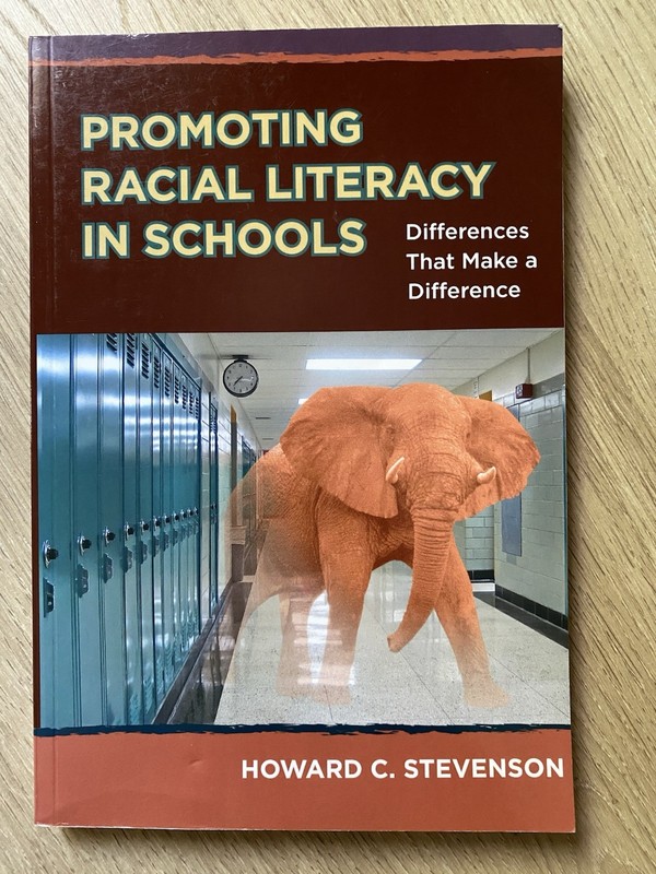 Promoting Racial Literacy In Schools Differences That Make A Difference Stevenso