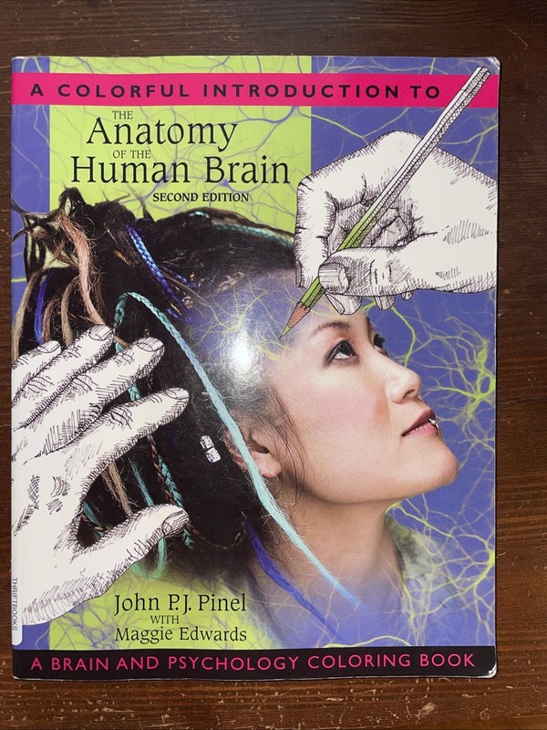 The Anatomy Of The Human Brain, Second Edition