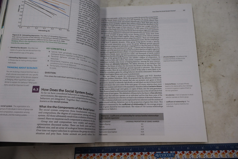IE Ecology : Evolution, Application, Integration Paperback David T. gallery