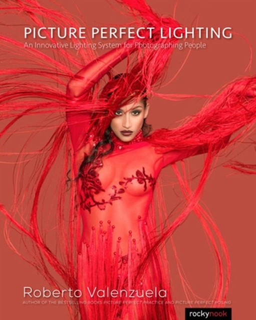 PICTURE PERFECT LIGHTING by Roberto Valenzuela Paperback Self Help Business