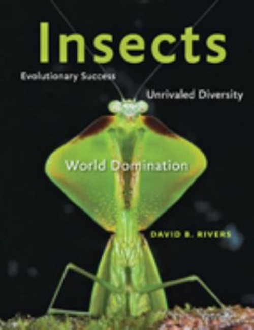 Insects : Evolutionary Success, Unrivaled Diversity, and World Do