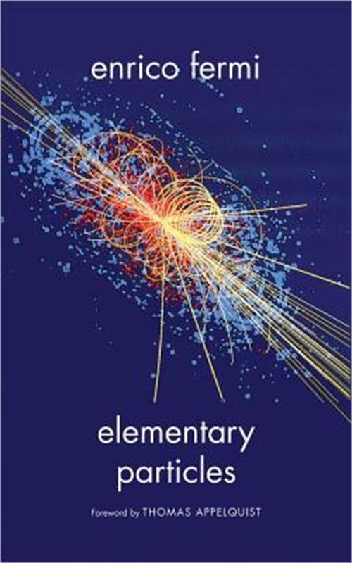 Elementary Particles (Paperback or Softback)