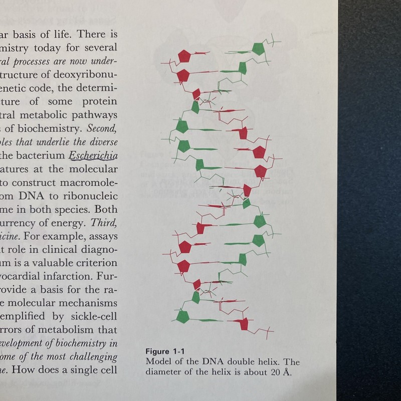 Biochemistry by Lubert Stryer (1981, Hardcover) gallery