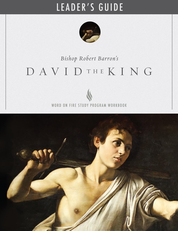 David the King – Leader Guide