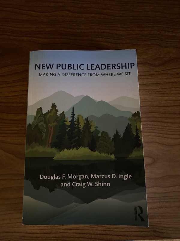 New Public Leadership. Making A Difference From Where We Sit