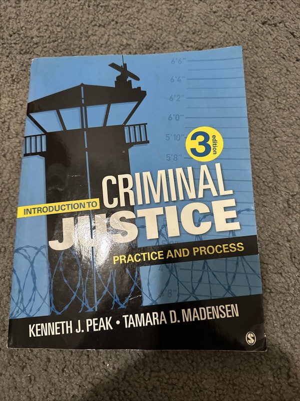 Introduction to Criminal Justice : Practice and Process by Tamara D. Herold and