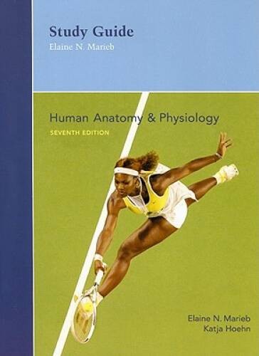 Human Anatomy & Physiology (Study Guide) – Paperback By Marieb, Elaine N. – GOOD