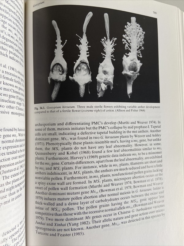 Monographs in Theoretical and Applied Genetics: Male Sterility in Higher Plants gallery