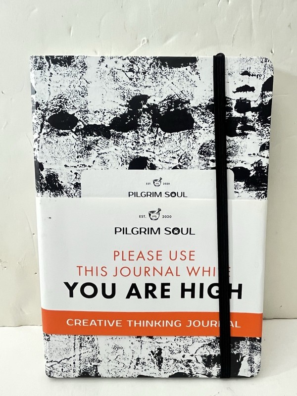 Creative Thinking Journal : Pilgrim Soul Guided Journal by Shawn Gold (2020,…