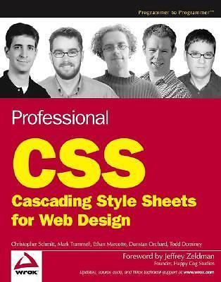 Professional CSS / Cascading Style Sheets for Web Design by