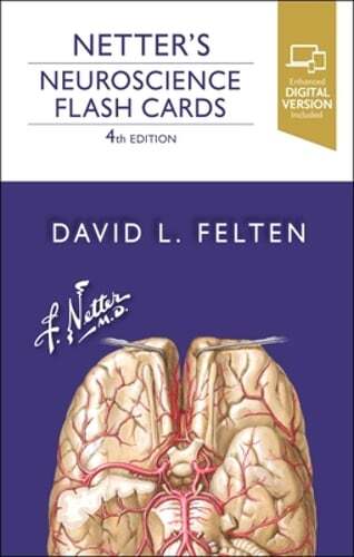 Netter’s Neuroscience Flash Cards by PhD Felten, David L, MD: New