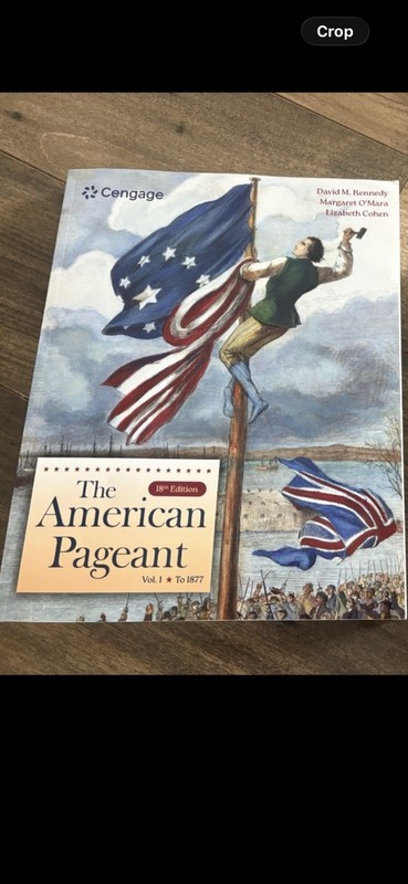 The American Pageant Vol 1