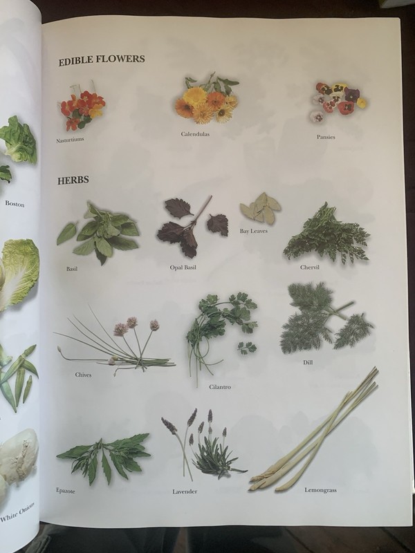 Food for Fifty by Mary Molt Hardcover Textbook gallery