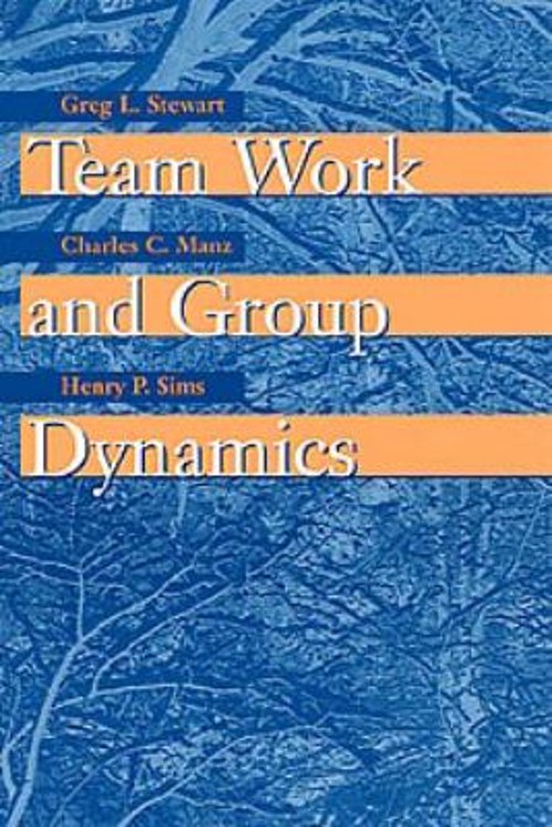 Team Work and Group Dynamics Paperback