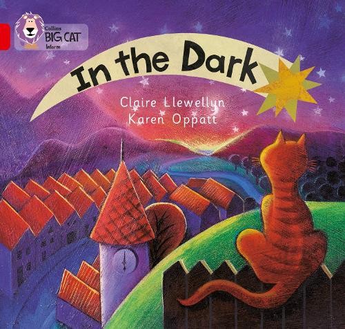 Claire Llewellyn In the Dark (Paperback) Collins Big Cat