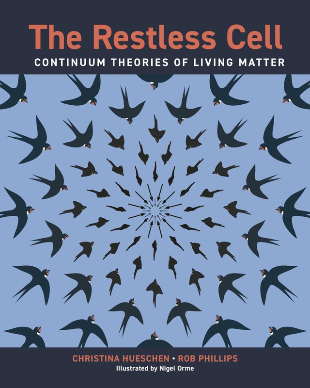 The Restless Cell: Continuum Theories of Living Matter by Rob Phillips