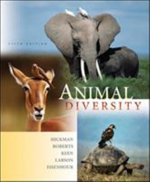 Animal Diversity Paperback