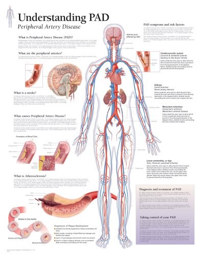 UNDERSTANDING PAD CHART: LAMINATED WALL CHART By Scientific Publishing BRAND NEW