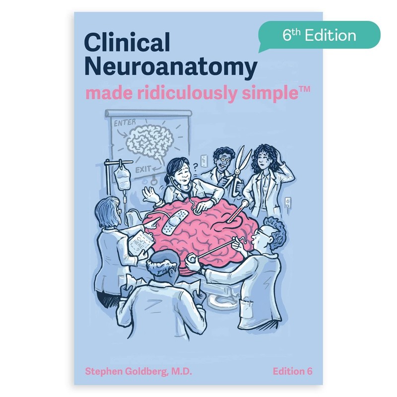 Clinical Neuroanatomy Made Ridiculously Simple 6th edition