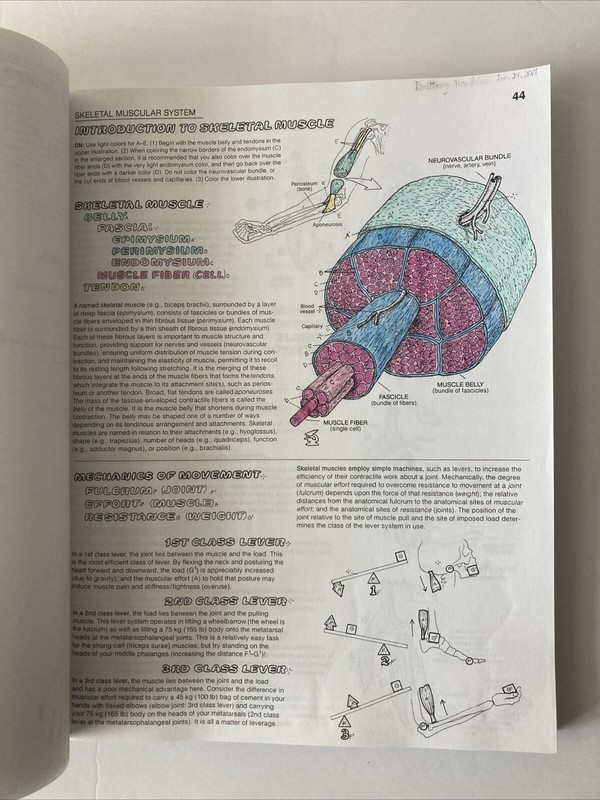The Anatomy Coloring Book By Wynn Kapit & Elson 3rd Third Edition Paperback gallery