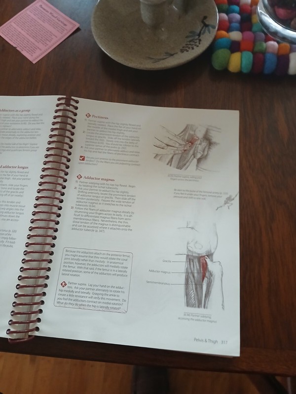 Trail Guide to the Body by Andrew Biel - Body, Bones, Muscles - Third Edition gallery