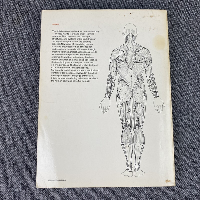 The Anatomy : Coloring Book by Lawrence M. Elson and Wynn Kapit 1997 gallery