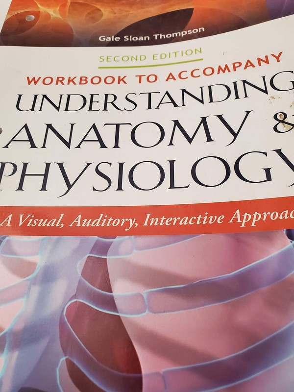Workbook to Accompany Understanding Anatomy & Physiology: A Visual, Auditory…