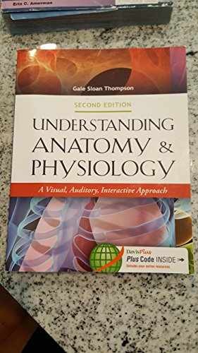 Understanding Anatomy & – Paperback, by Thompson RN Gale – Acceptable n