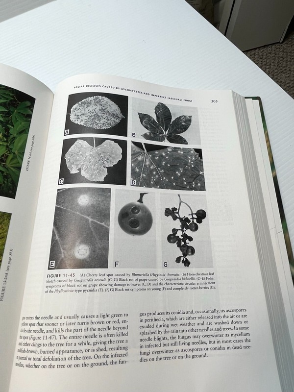 Plant Pathology, Fourth Edition by George N. Agrios (hardcover) Academic Press gallery