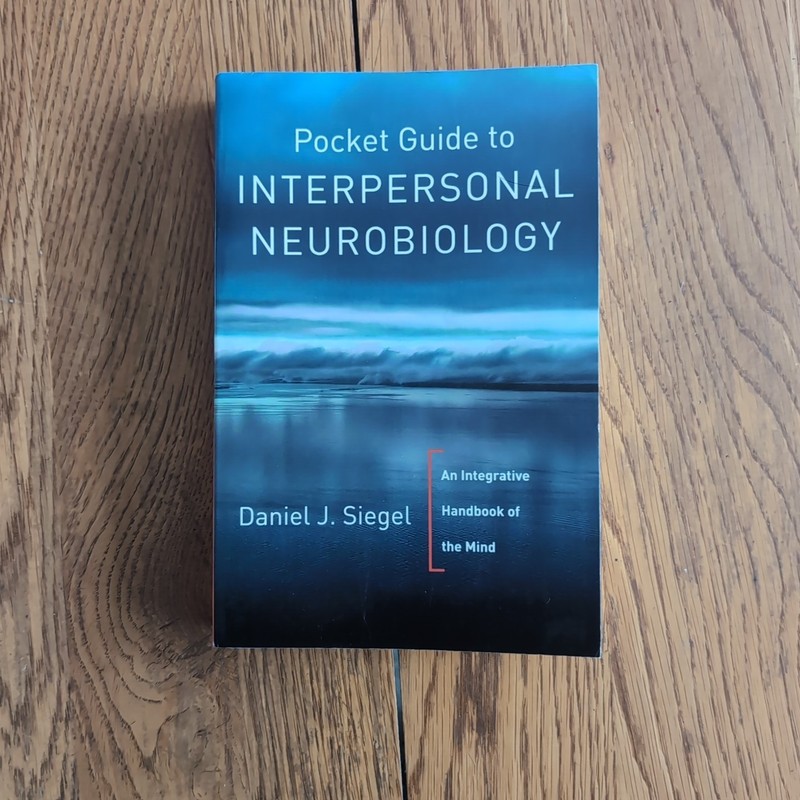 Pocket Guide to Interpersonal Neurobiology by Daniel J. Siegel Paperback