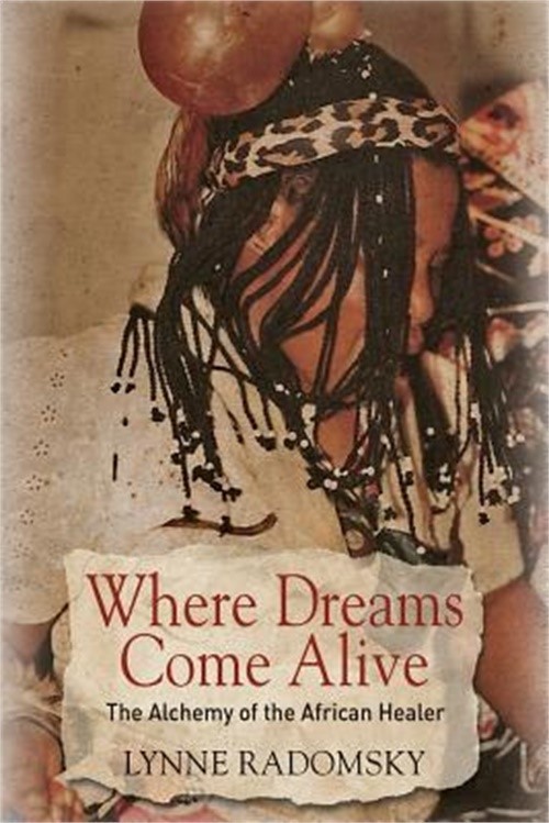 Where Dreams Come Alive: The Alchemy of the African Healer (Paperback or Softbac