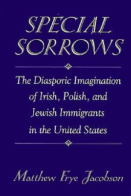 Special Sorrows: The Diasporic Imagination Of Irish, Polish, And Jewish Imm…