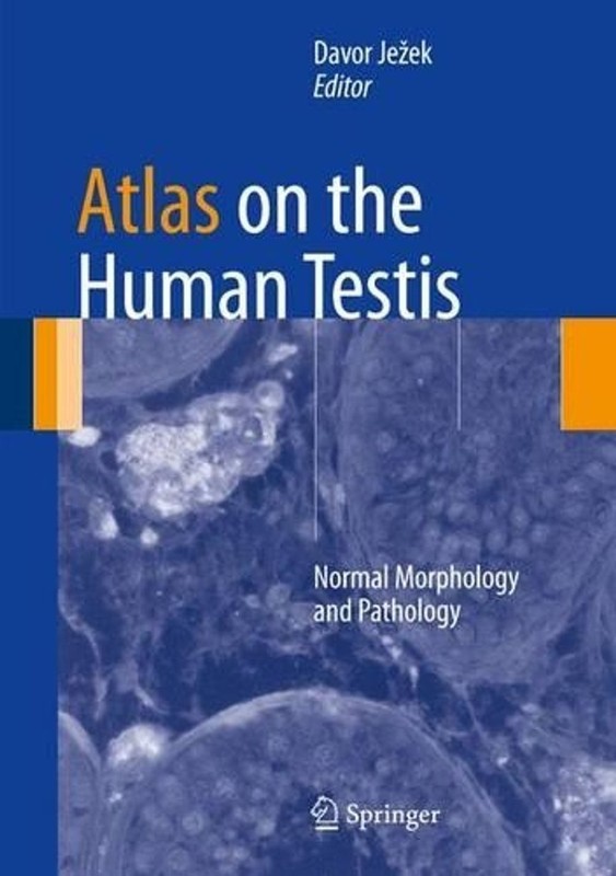 Atlas on the Human Testis: Normal Morphology and Pathology by Davor Je?ek (Engli