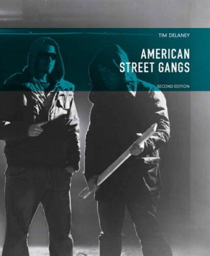 American Street Gangs (2nd Edition) – Paperback By Delaney, Tim – GOOD
