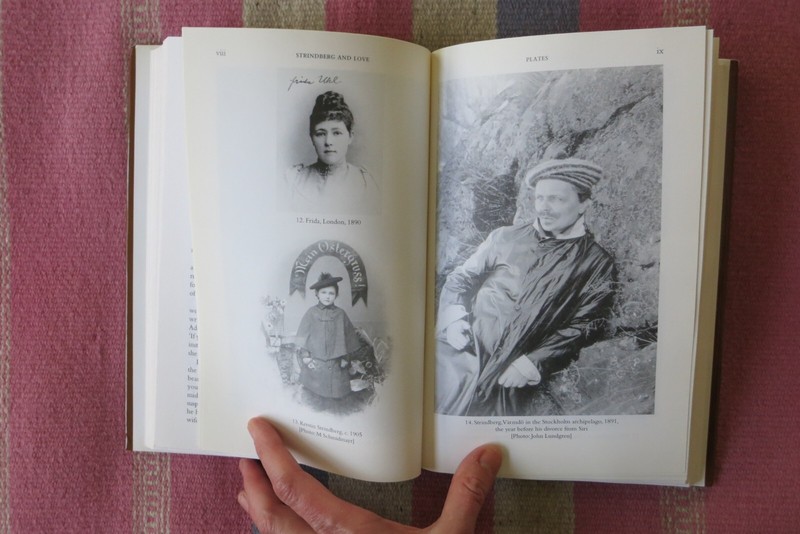 Strindberg and Love Eivor Martinus - Hardcover with Dust Jacket - Very Good 2001 gallery