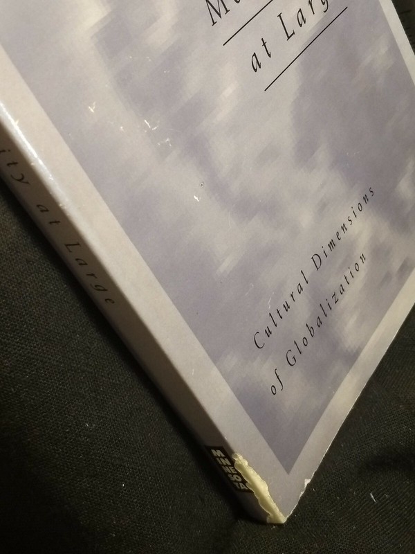 Modernity at Large : Cultural Dimensions of Globalization by Arjun Appadurai SC gallery