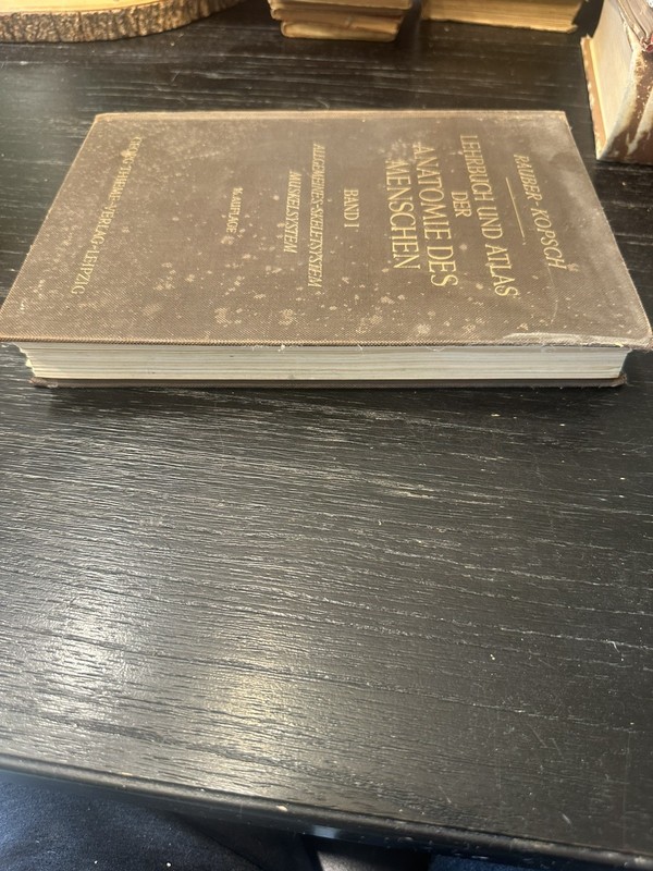 Atlas Of Human Anatomy 1952 Vol 1 In German Skeletal, Muscular General systems gallery