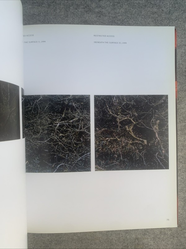 Willie Doherty : False Memory : Merrell, Imma : VGC gallery