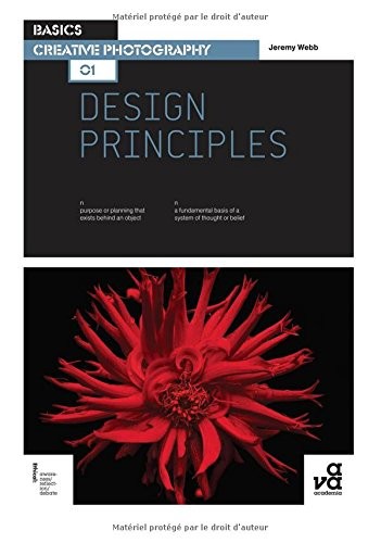 BASICS CREATIVE PHOTOGRAPHY 01: DESIGN PRINCIPLES By Jeremy Webb **Excellent**