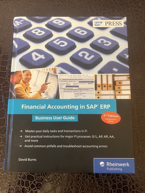 Financial Accounting in SAP Erp: Business User Guide by David Burns: VG