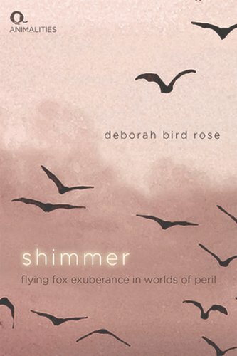 Shimmer: Flying Fox Exuberance in Worlds of Peril by Deborah Bird Rose: New