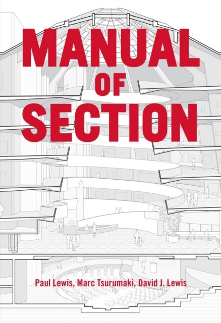 MANUAL OF SECTION by Paul Lewis Paperback Self Help Business