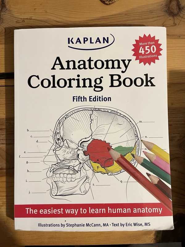 Anatomy Workbook By Kaplan