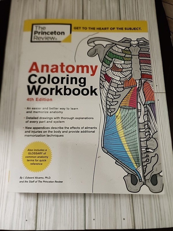 Coloring Workbooks Ser.: Anatomy Coloring Workbook, 4th Edition : An Easier and