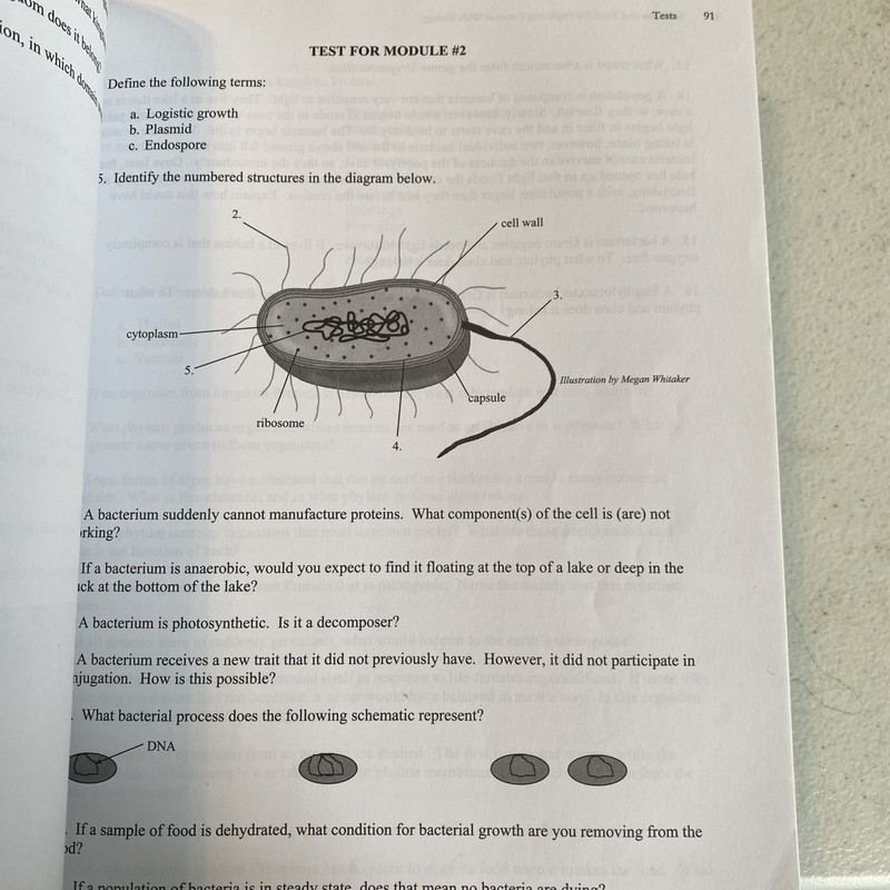 Exploring Creation with Biology 2nd Ed TEXT & SOLUTION TESTS — See Description! gallery